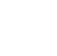 .net-image